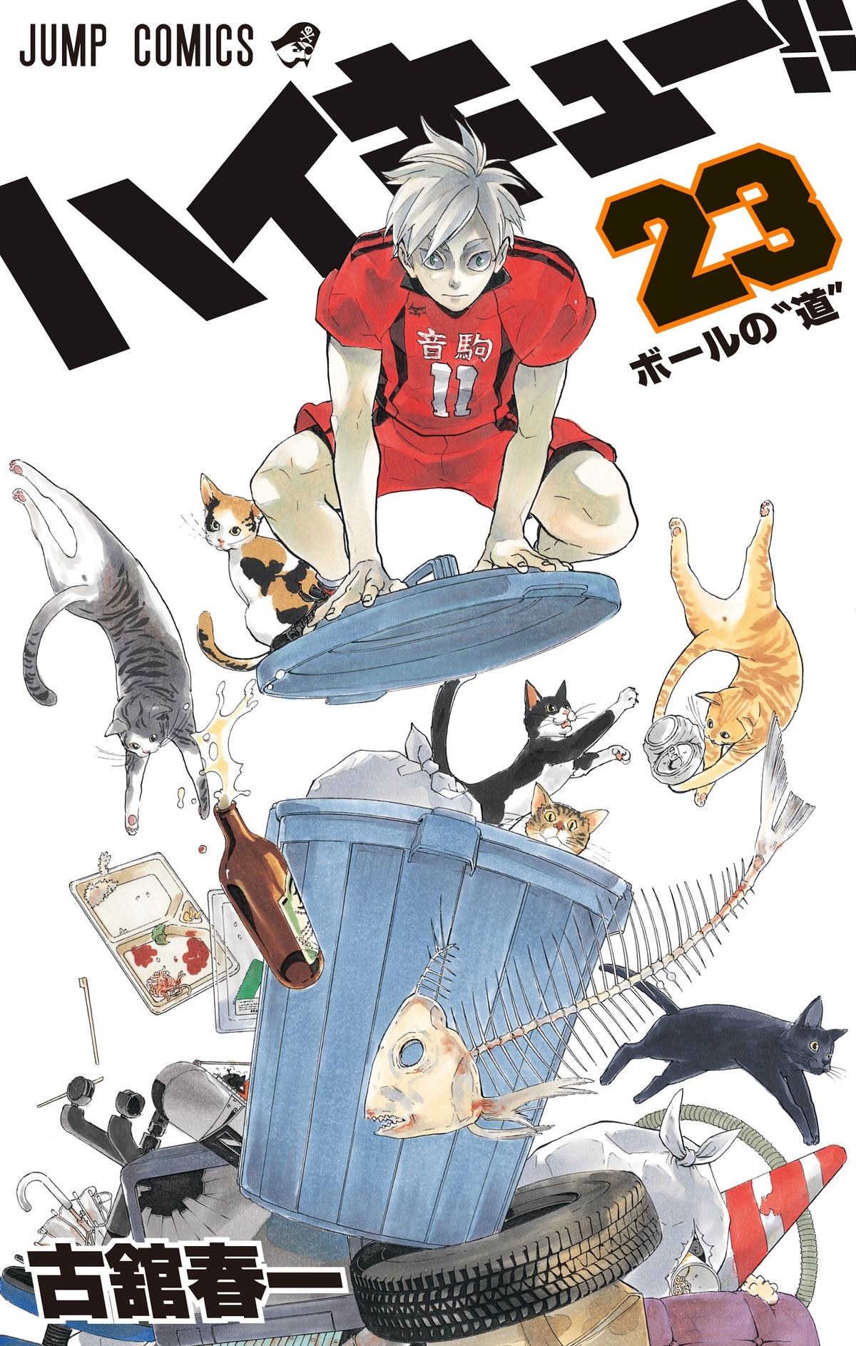 Read Haikyu!! (Color) Manga Online