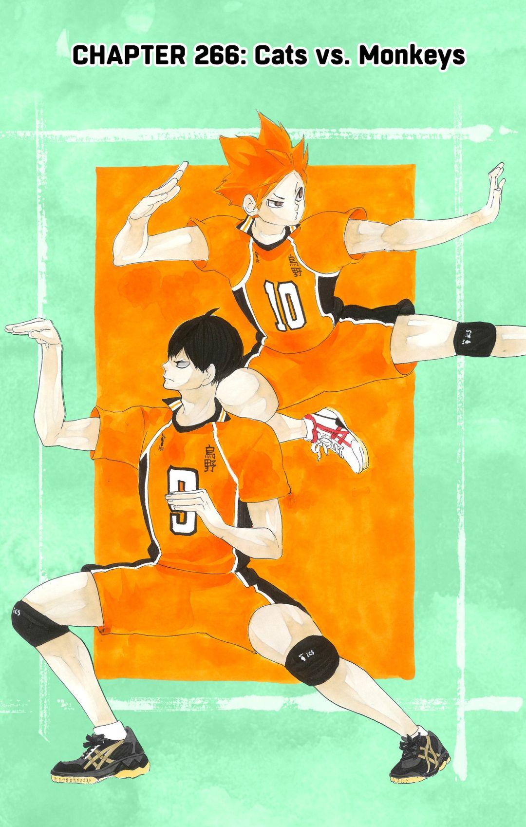 Read Haikyu!! (Color) Manga Online