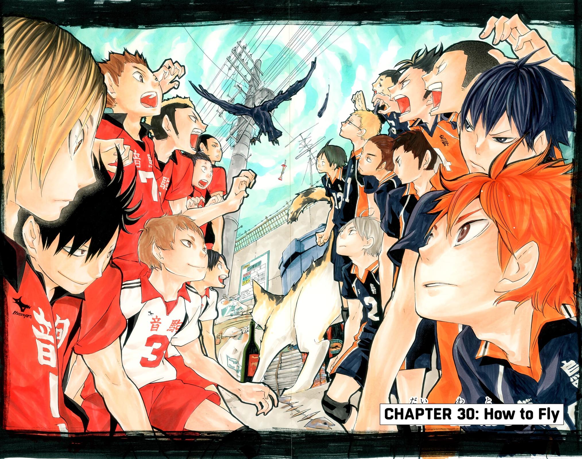 Read Haikyu!! (Color) Manga Online