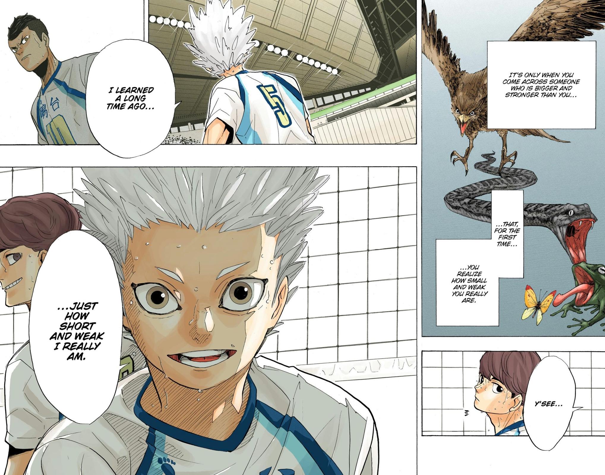 Read Haikyu!! (Color) Manga Online