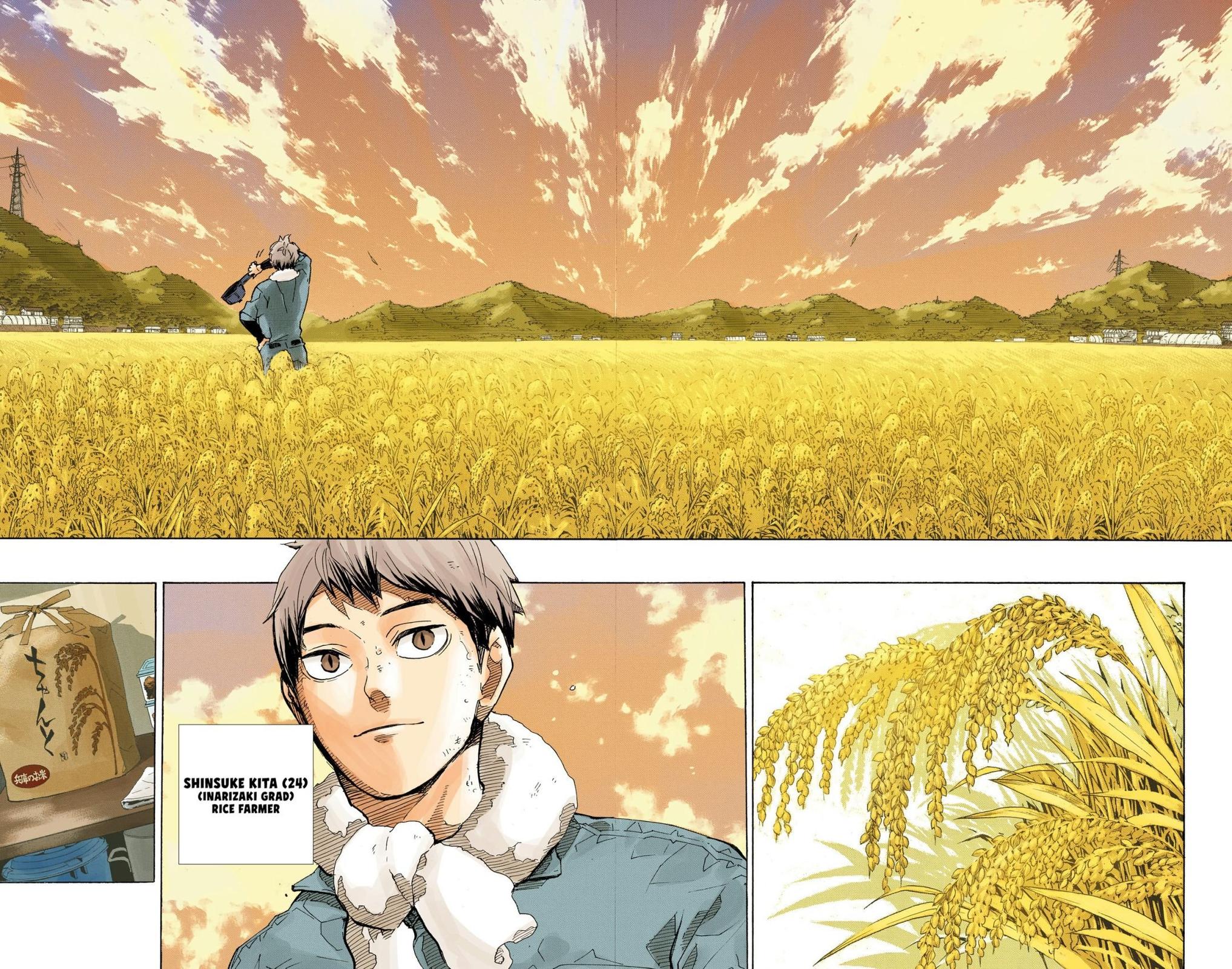 Read Haikyu!! (Color) Manga Online