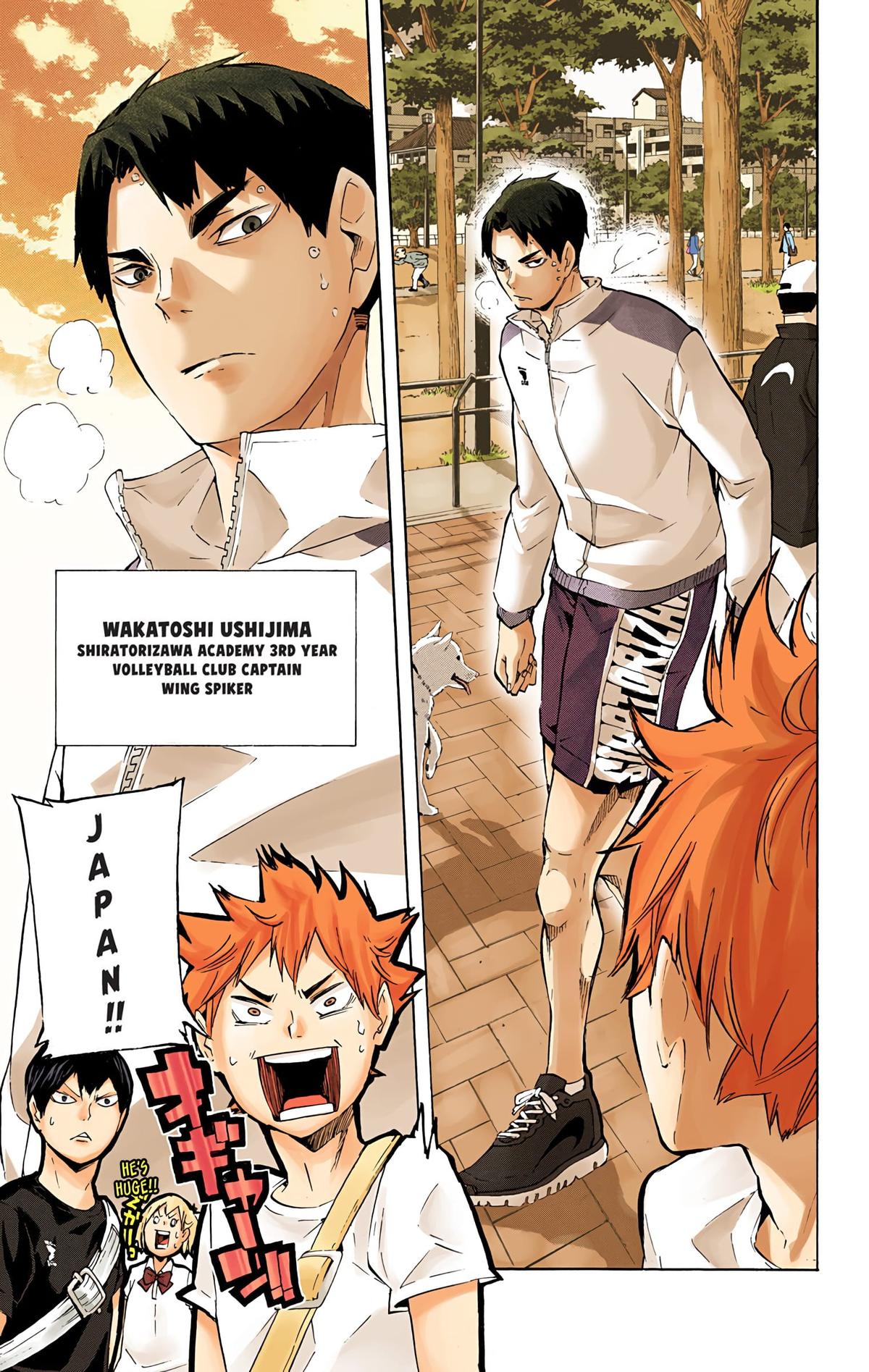 Read Haikyu!! (Color) Manga Online
