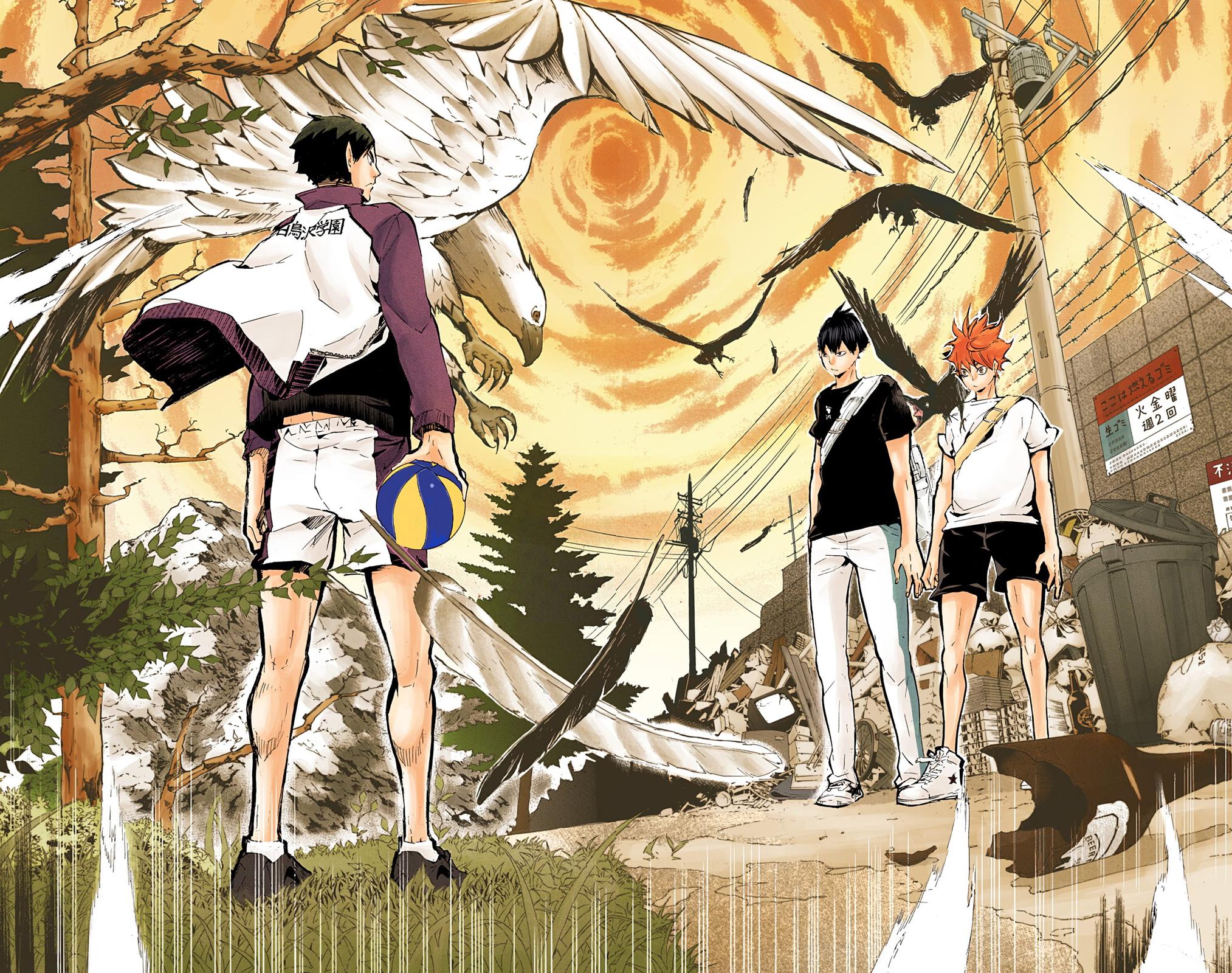 Read Haikyu!! (Color) Manga Online
