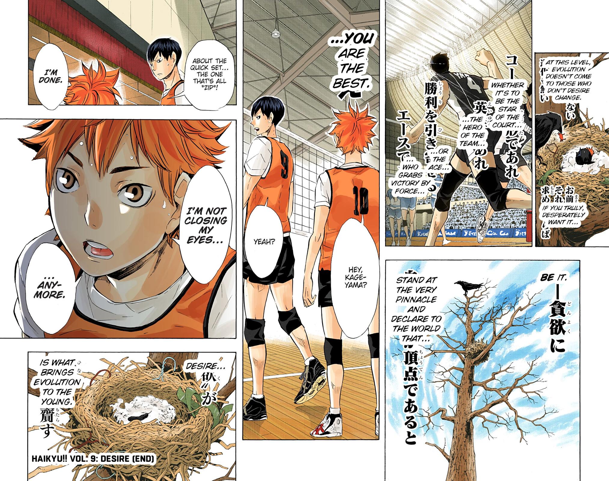 Read Haikyu!! (Color) Manga Online