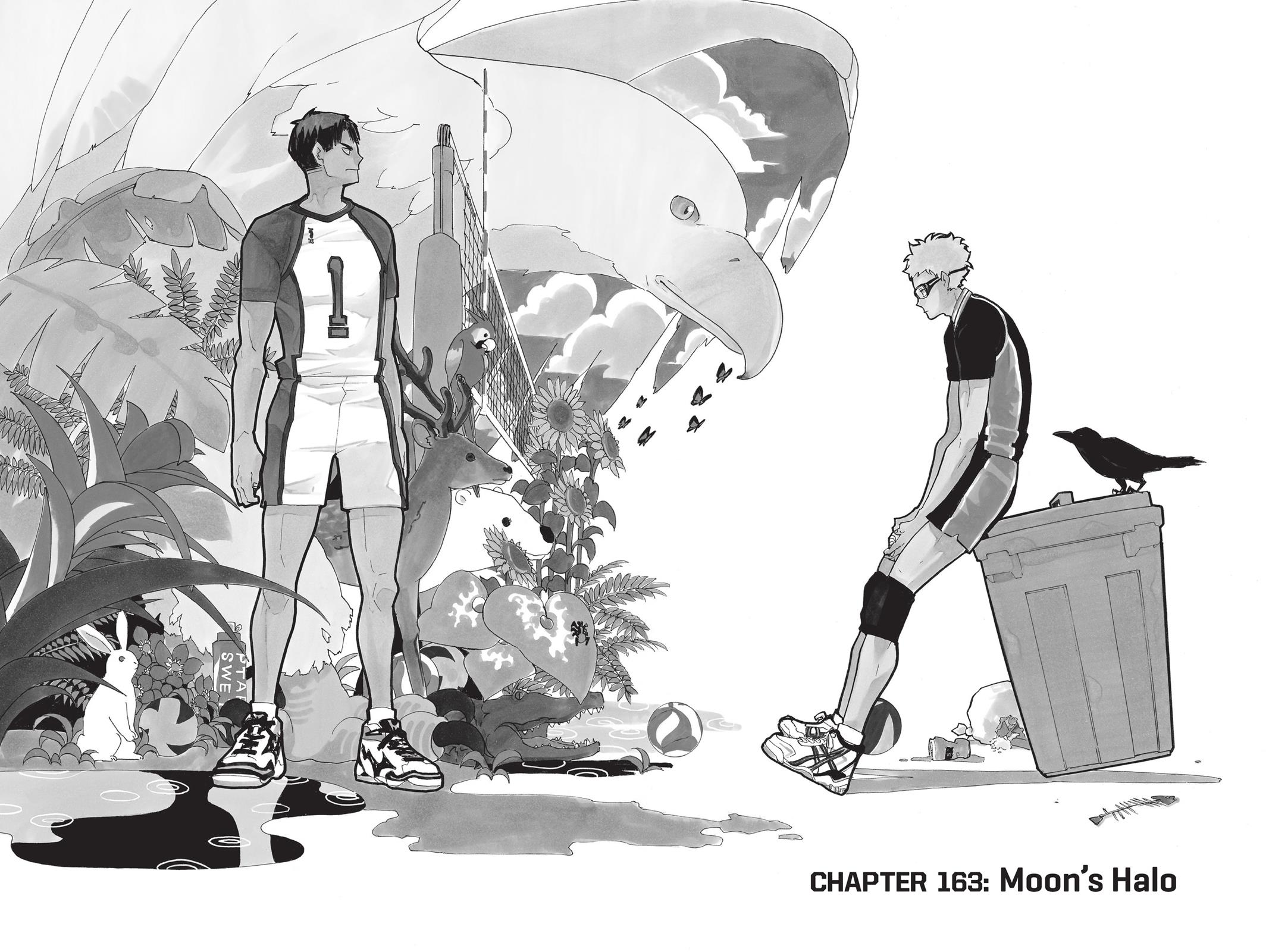 Read Haikyu!! Manga Online