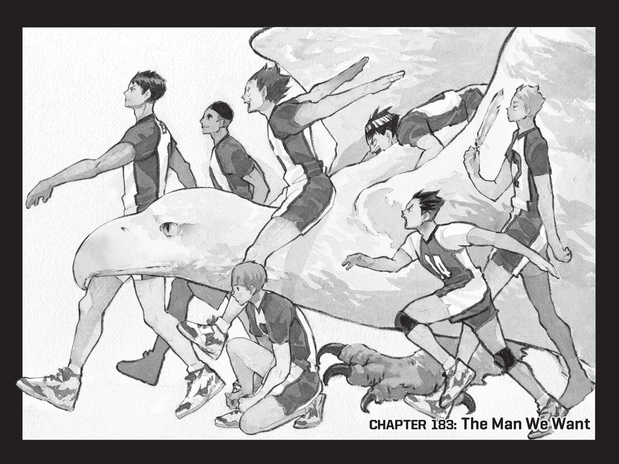 Read Haikyu!! Manga Online
