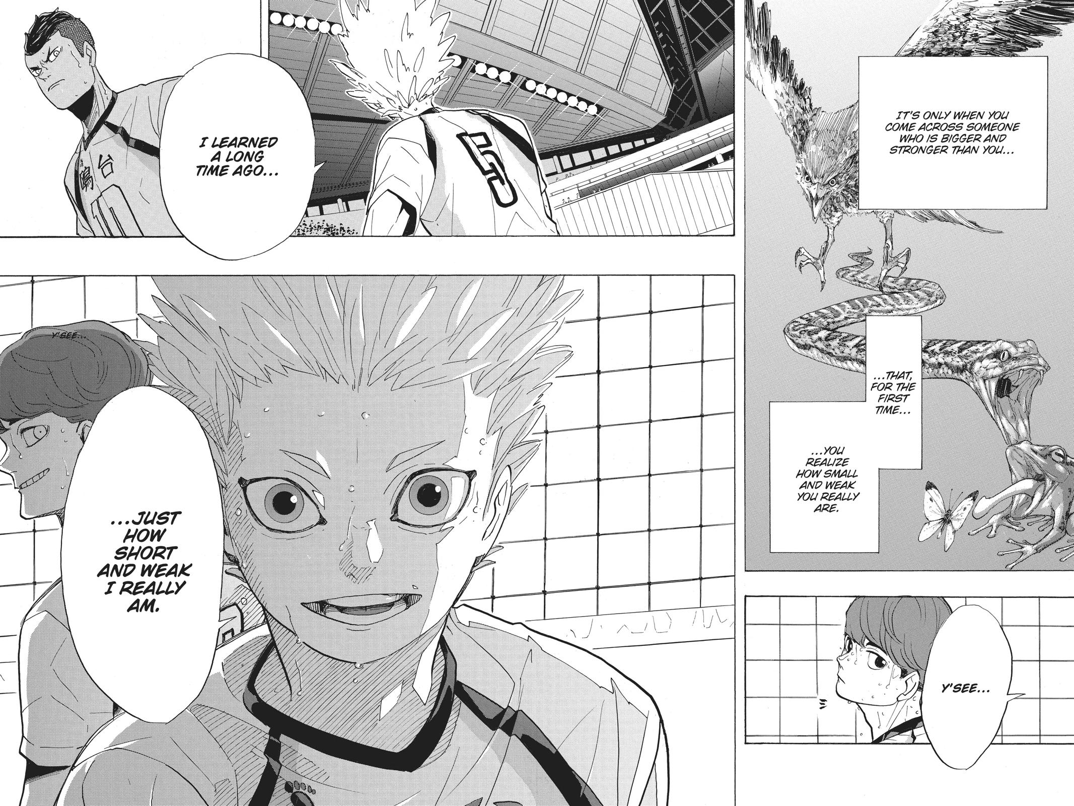 Read Haikyu!! Manga Online