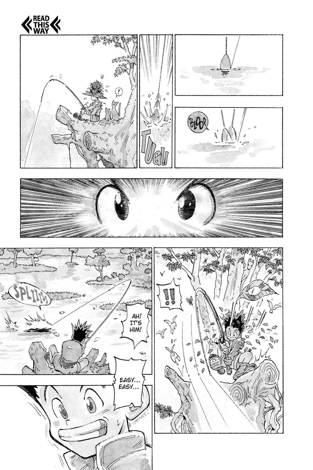 Read Hunter x Hunter Manga Online