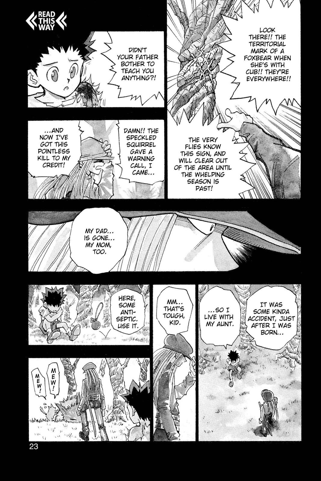 Read Hunter x Hunter Manga Online