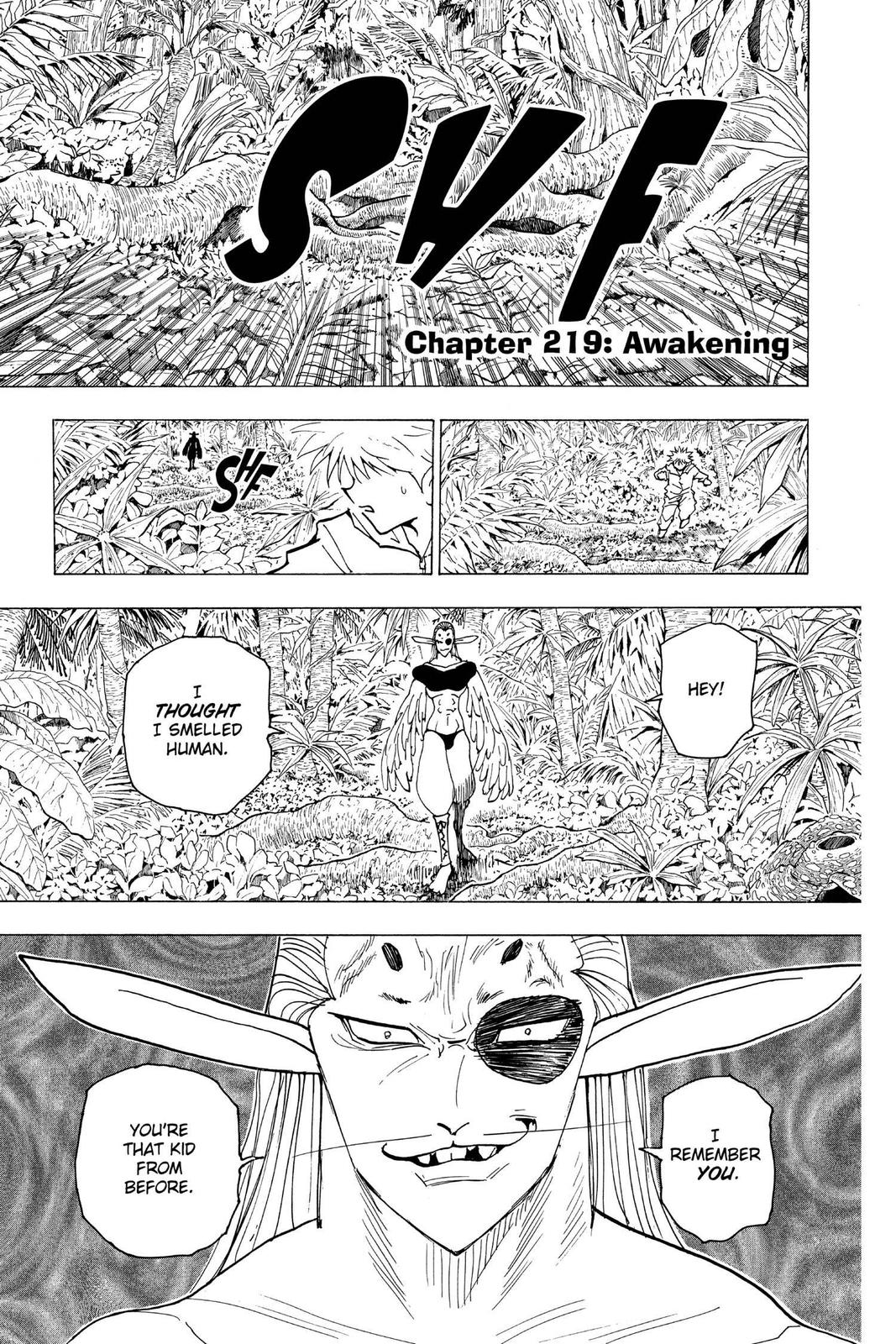 Read Hunter x Hunter Manga Online