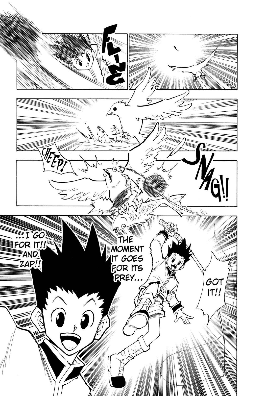 Read Hunter x Hunter Manga Online
