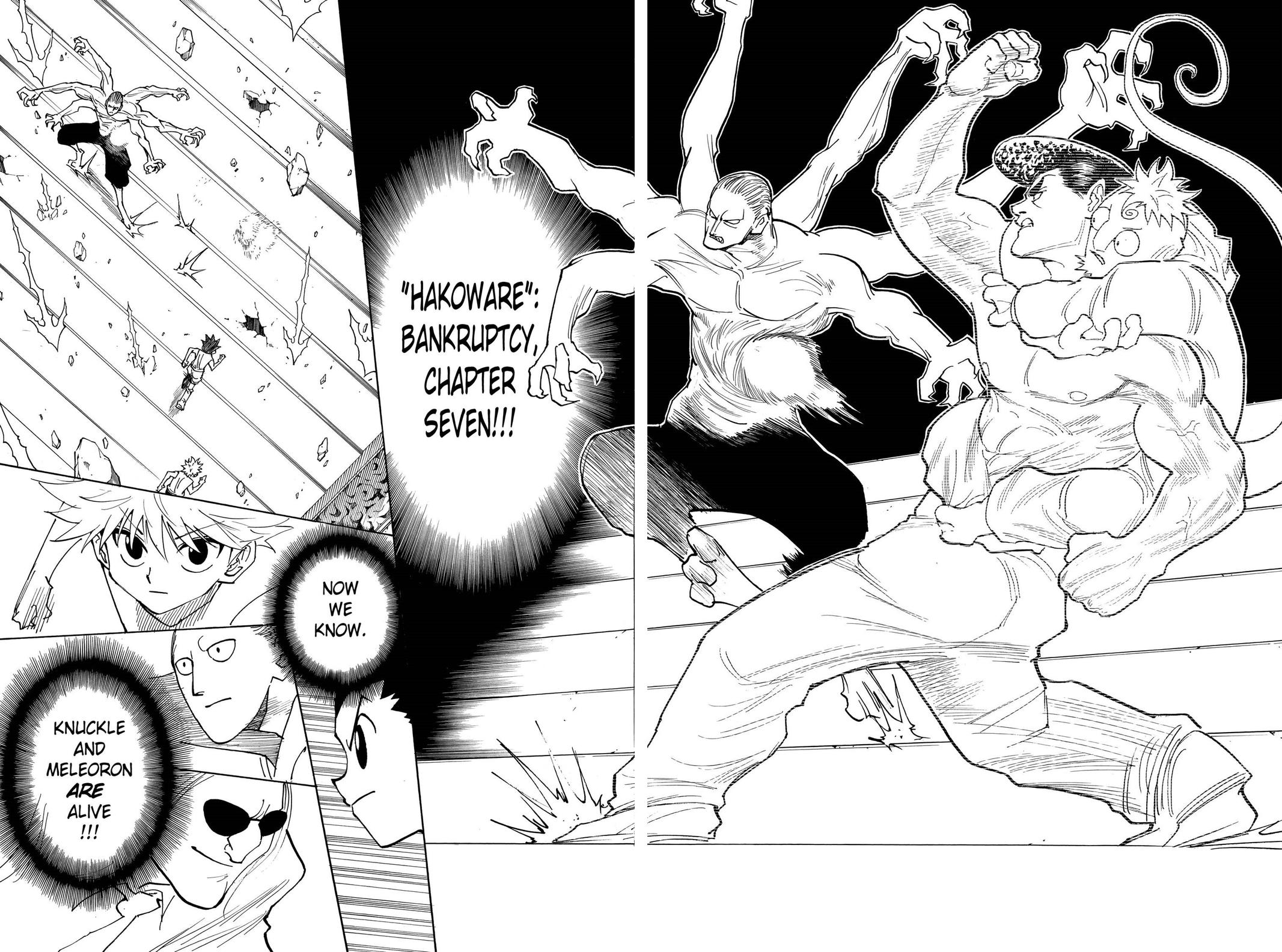 Read Hunter x Hunter Manga Online