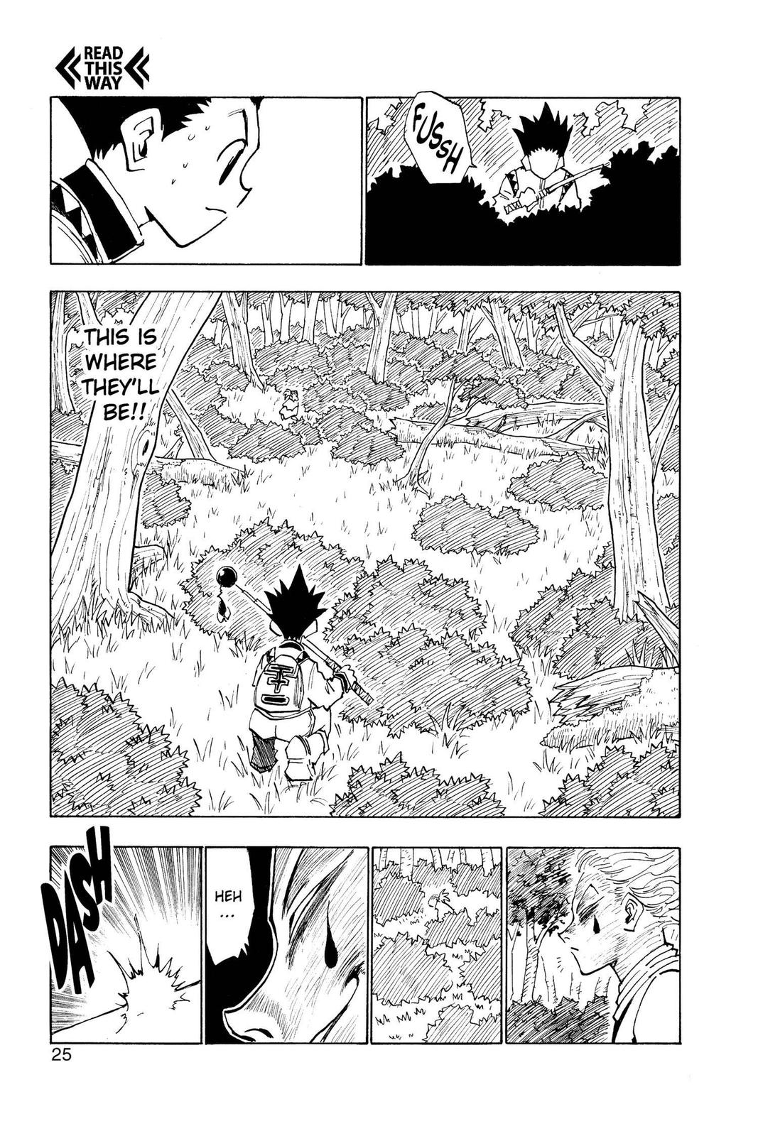 Read Hunter x Hunter Manga Online