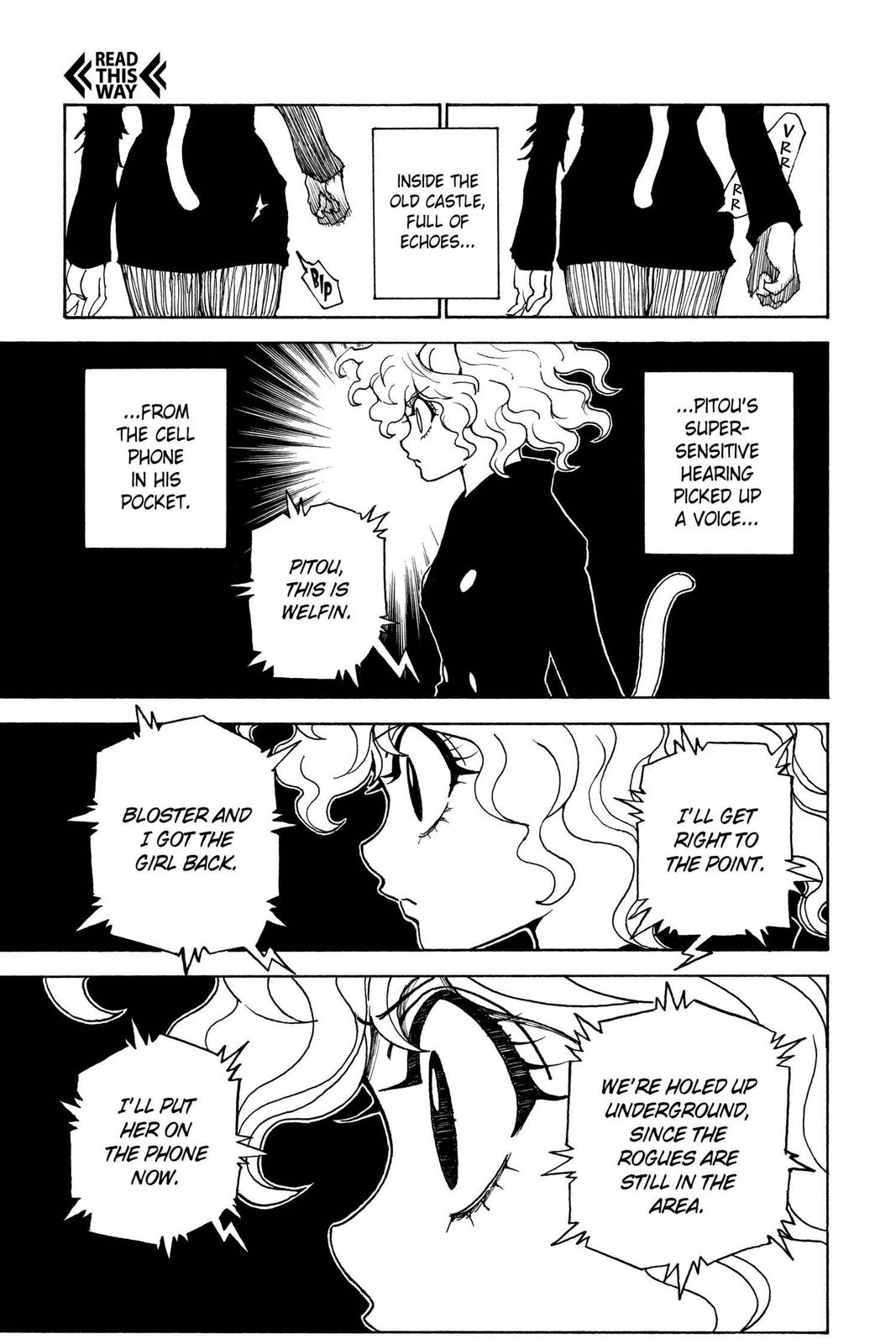 Read Hunter x Hunter Manga Online