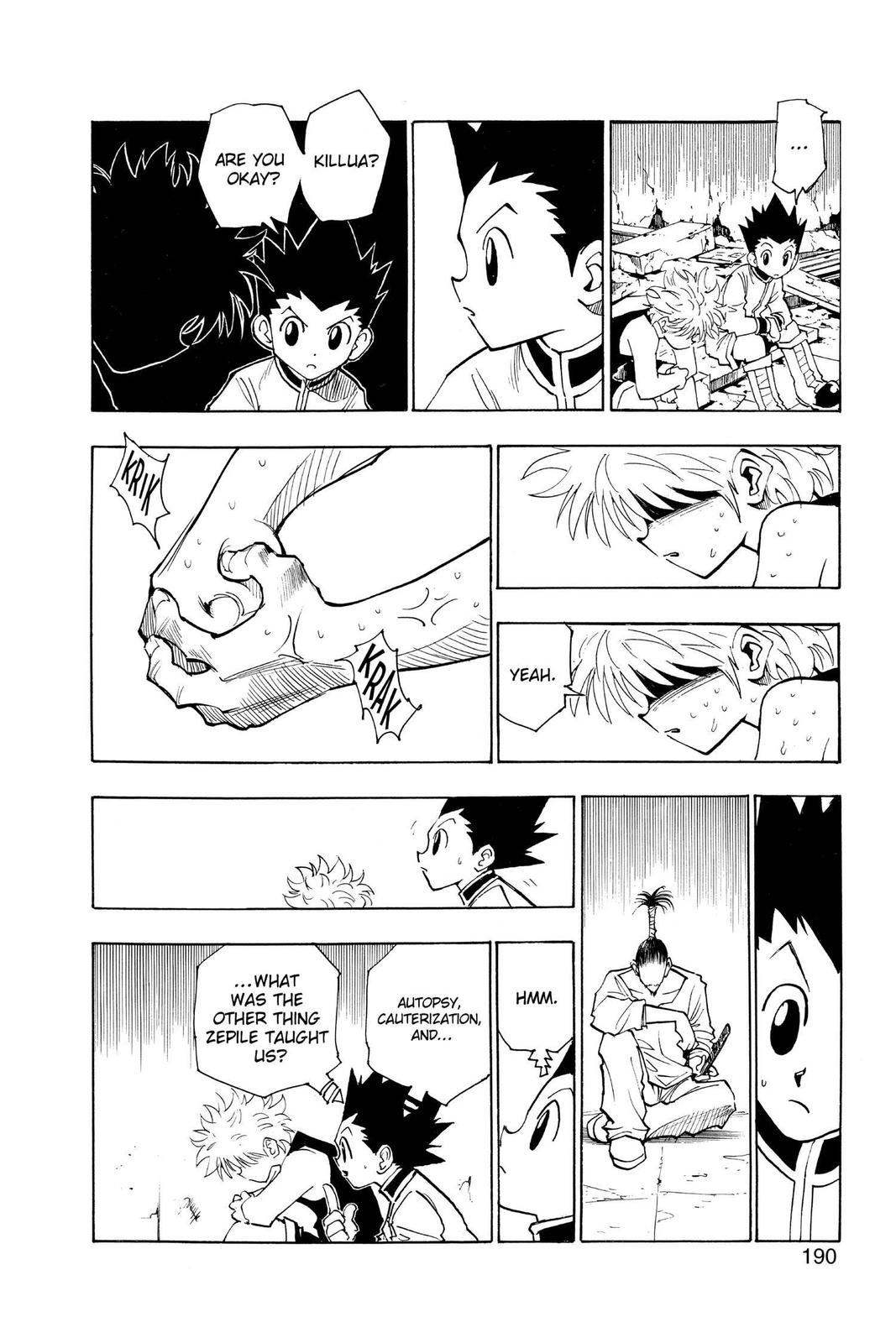 Read Hunter x Hunter Manga Online