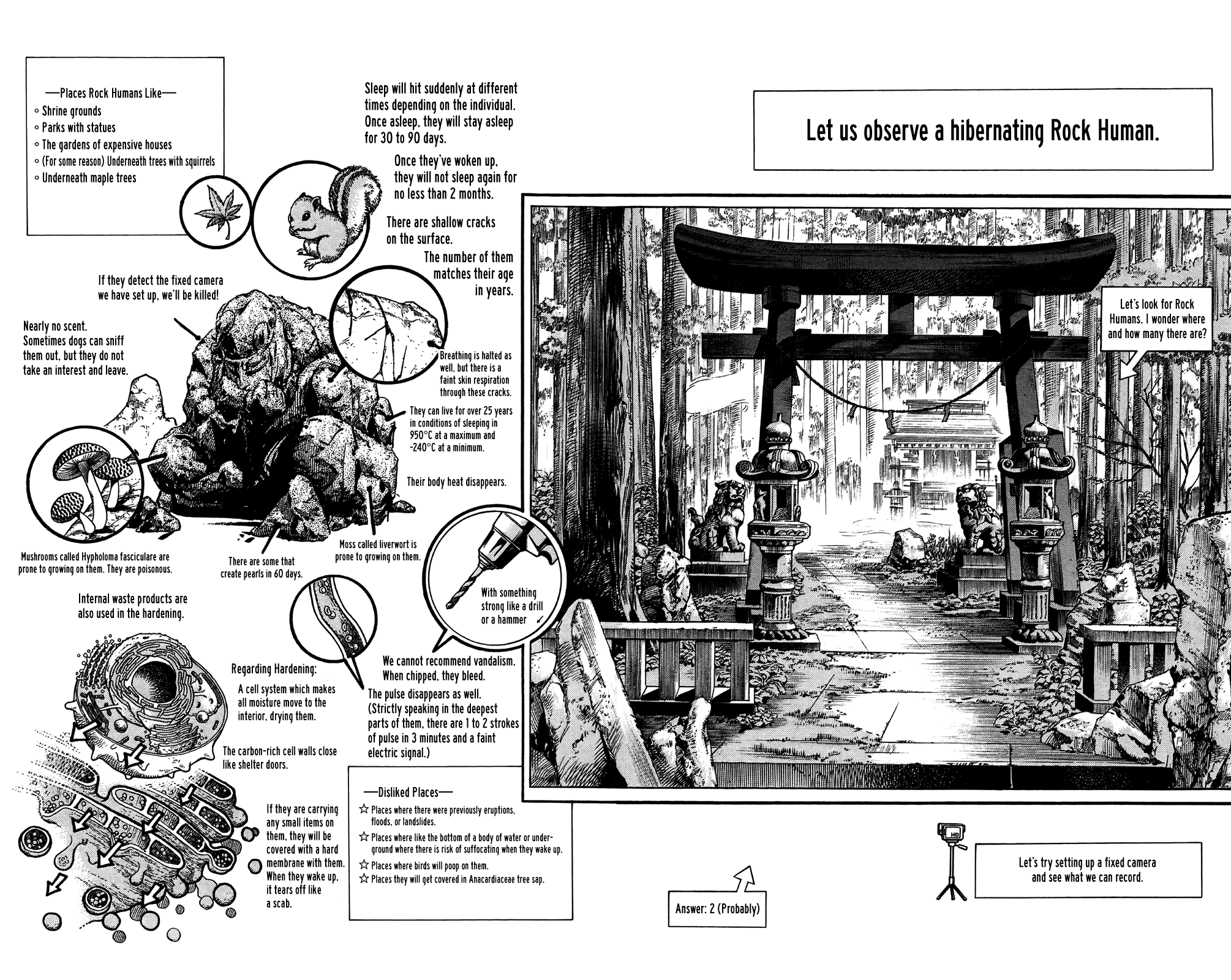 Read JoJo's Bizarre Adventure Part 8 JoJolion Manga Online