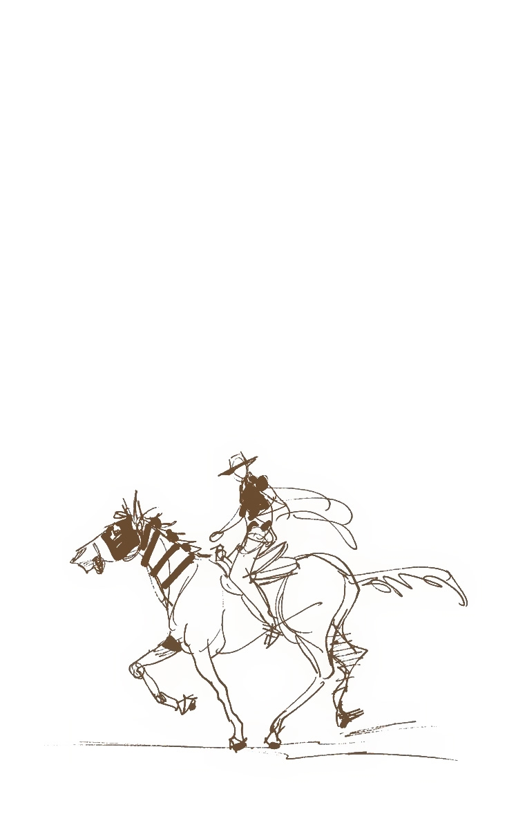 Read Jojo's Bizarre Adventure Part 7 Steel Ball Run Manga Online