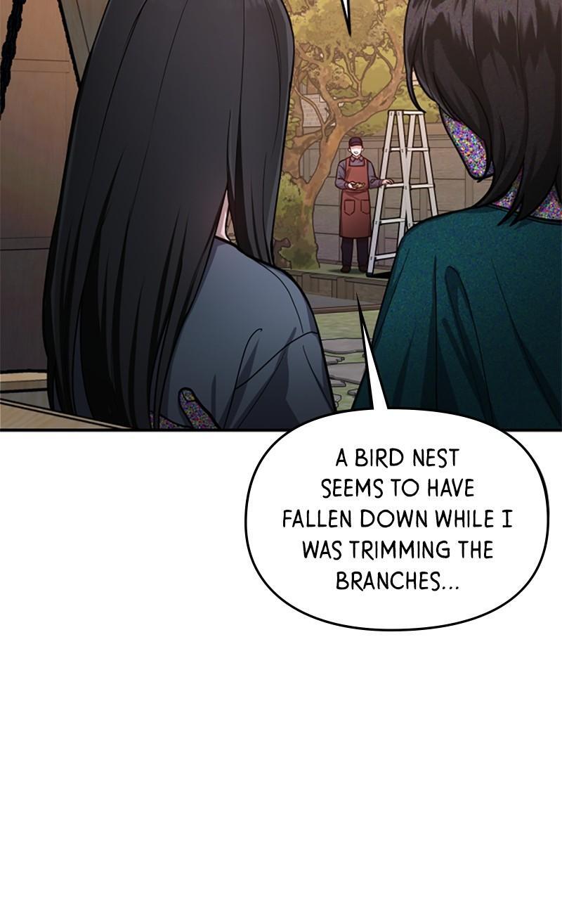 Read Like Mother Like Daughter Manga Online