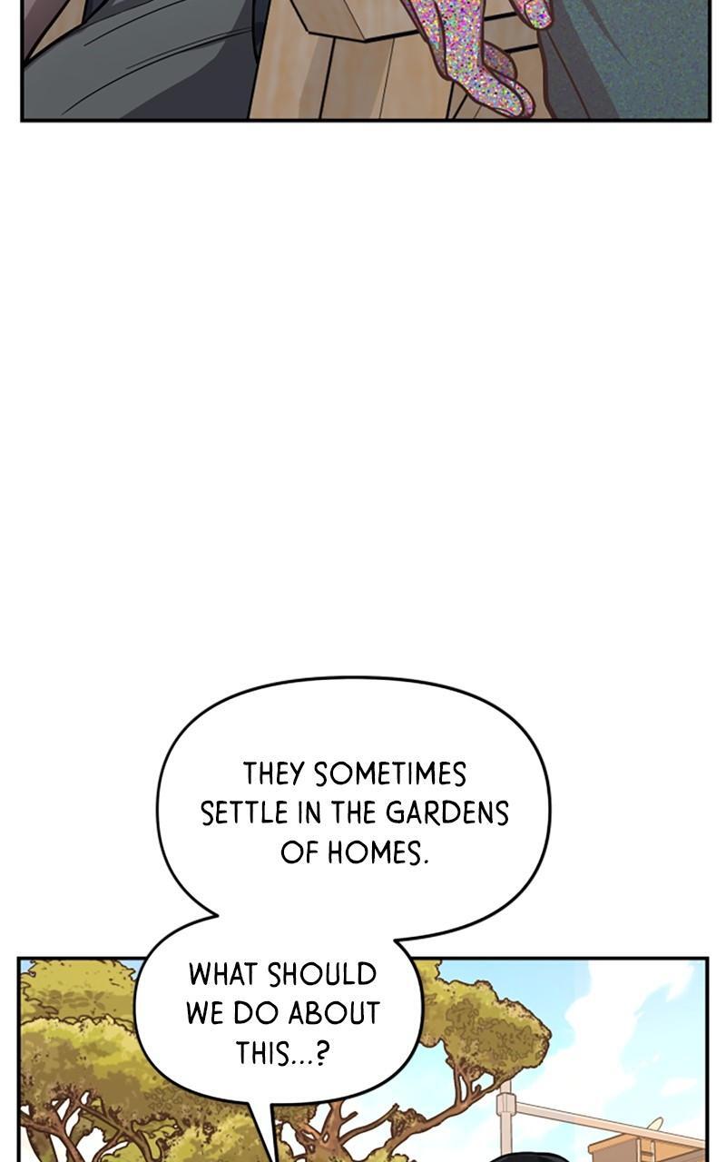 Read Like Mother Like Daughter Manga Online