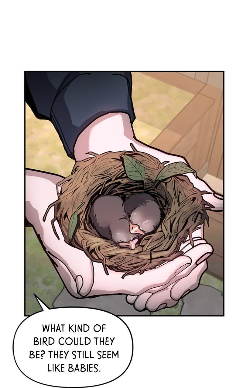 Read Like Mother Like Daughter Manga Online