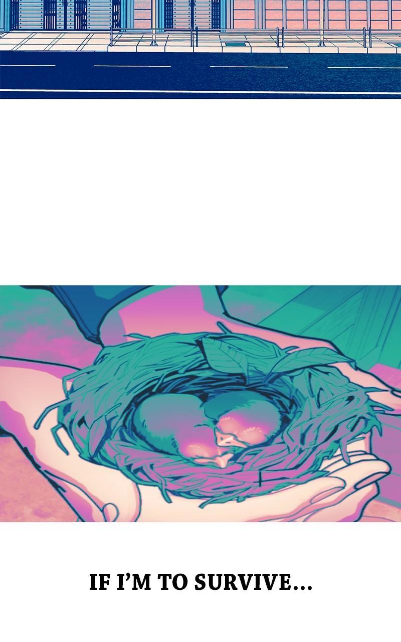 Read Like Mother Like Daughter Manga Online