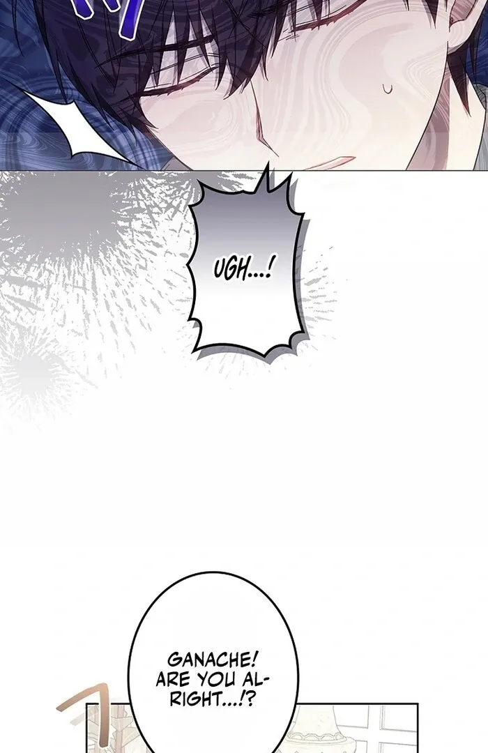 Read Mighty Macaron Wants To Be Meek Manga Online