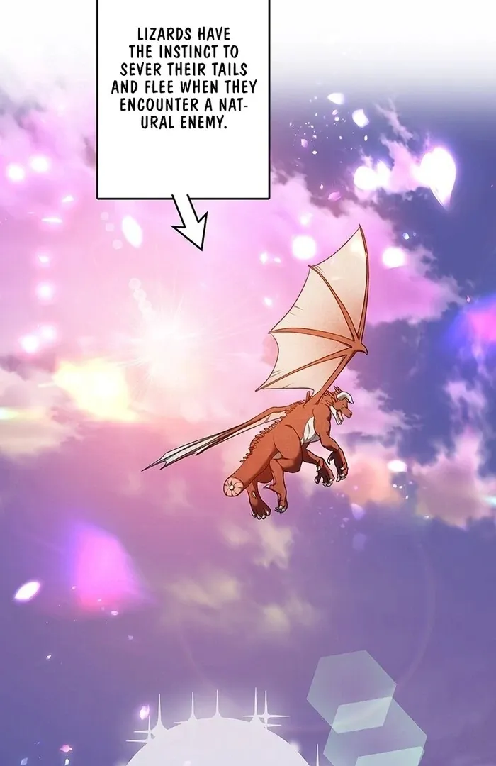 Read Mighty Macaron Wants To Be Meek Manga Online