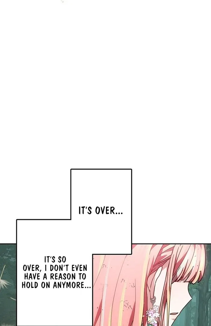 Read Mighty Macaron Wants To Be Meek Manga Online