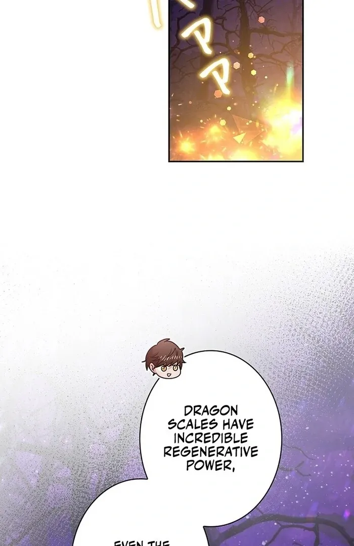 Read Mighty Macaron Wants To Be Meek Manga Online