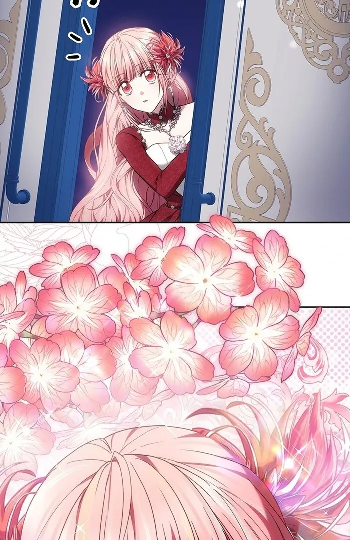 Read Mighty Macaron Wants To Be Meek Manga Online