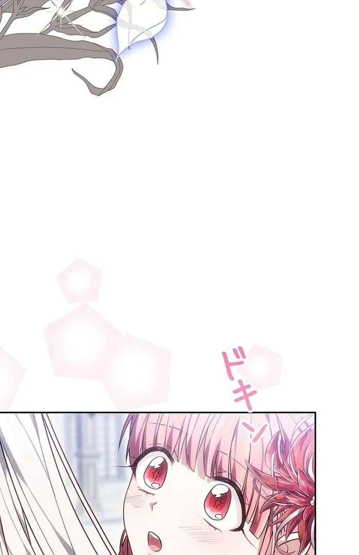 Read Mighty Macaron Wants To Be Meek Manga Online