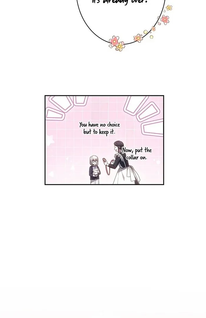Read Mighty Macaron Wants To Be Meek Manga Online
