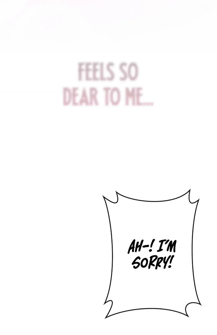 Read Mighty Macaron Wants To Be Meek Manga Online