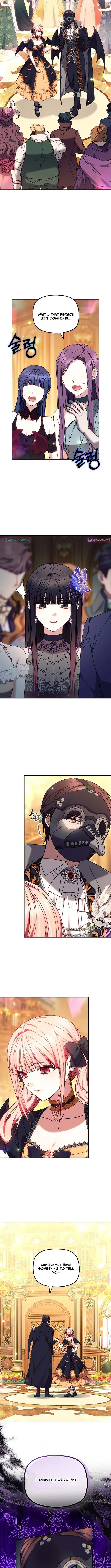 Read Mighty Macaron Wants To Be Meek Manga Online