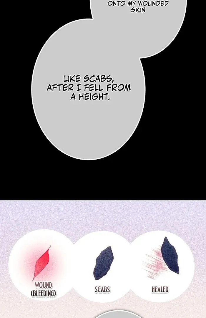 Read Mighty Macaron Wants To Be Meek Manga Online
