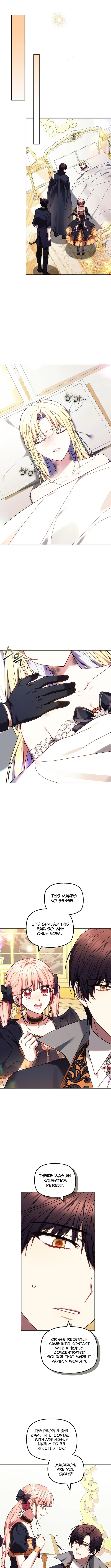 Read Mighty Macaron Wants To Be Meek Manga Online