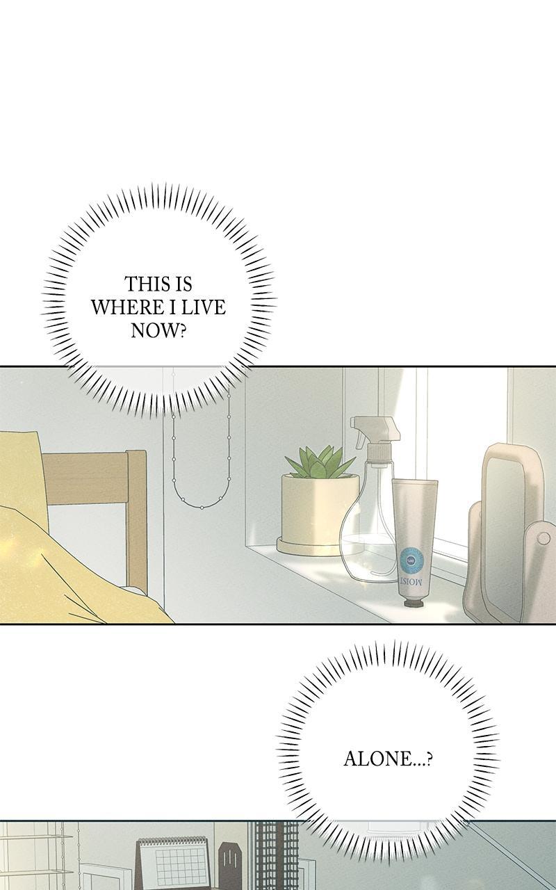 Read Miyeon Manga Online