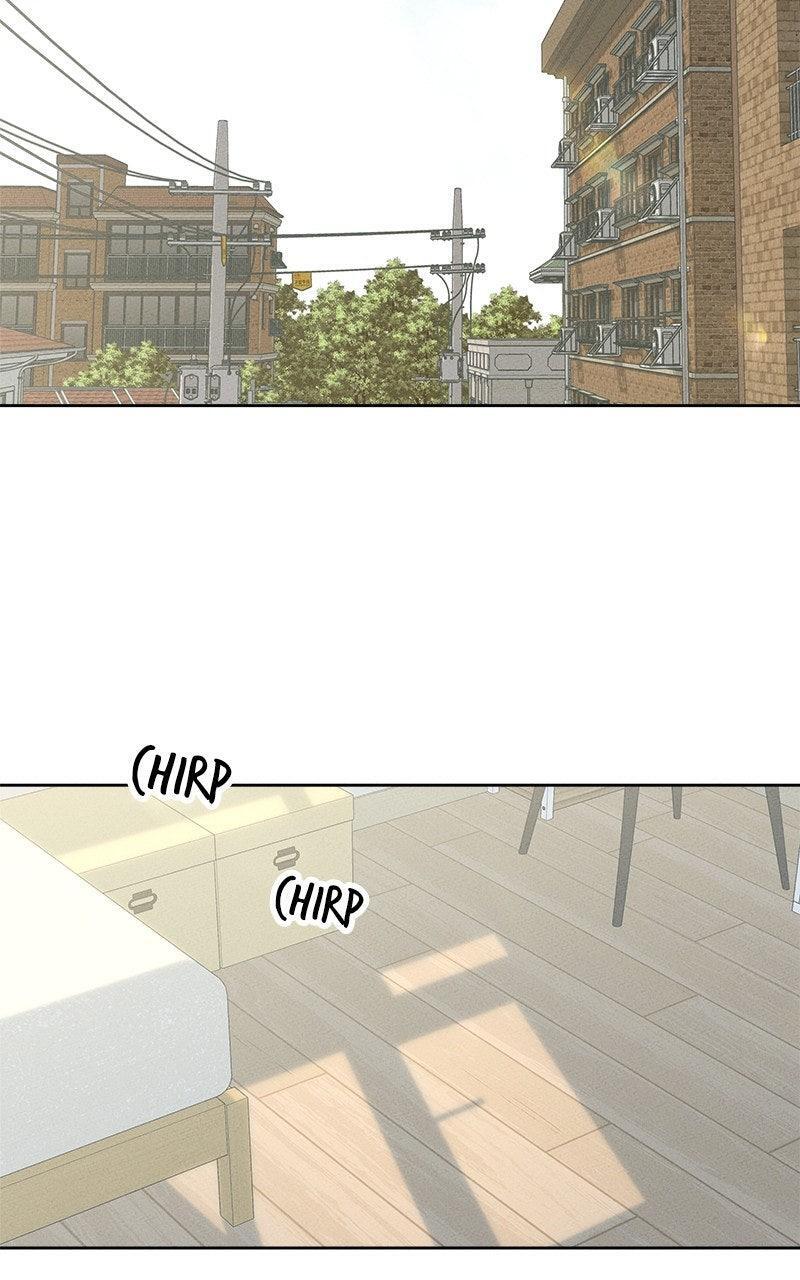 Read Miyeon Manga Online