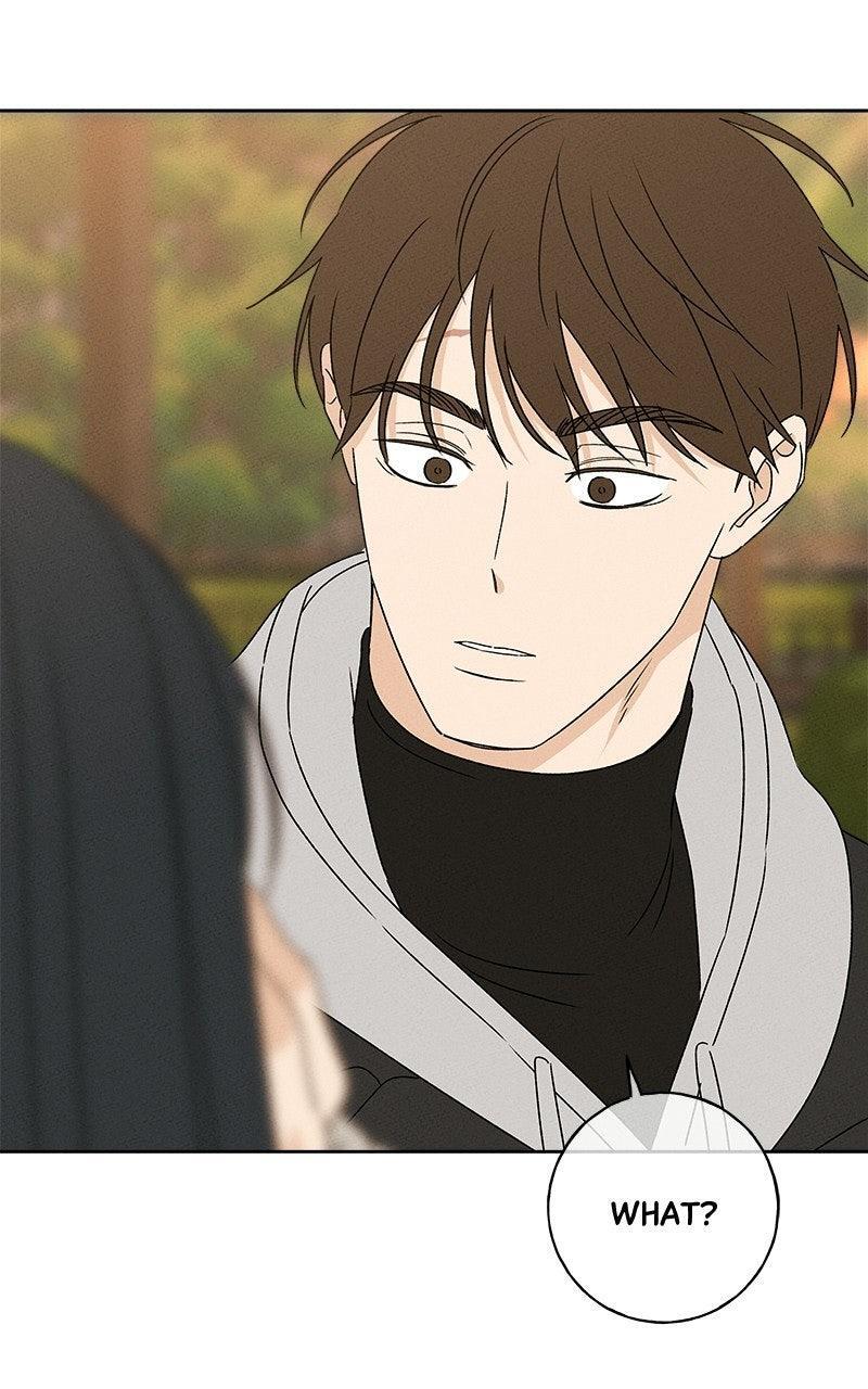 Read Miyeon Manga Online