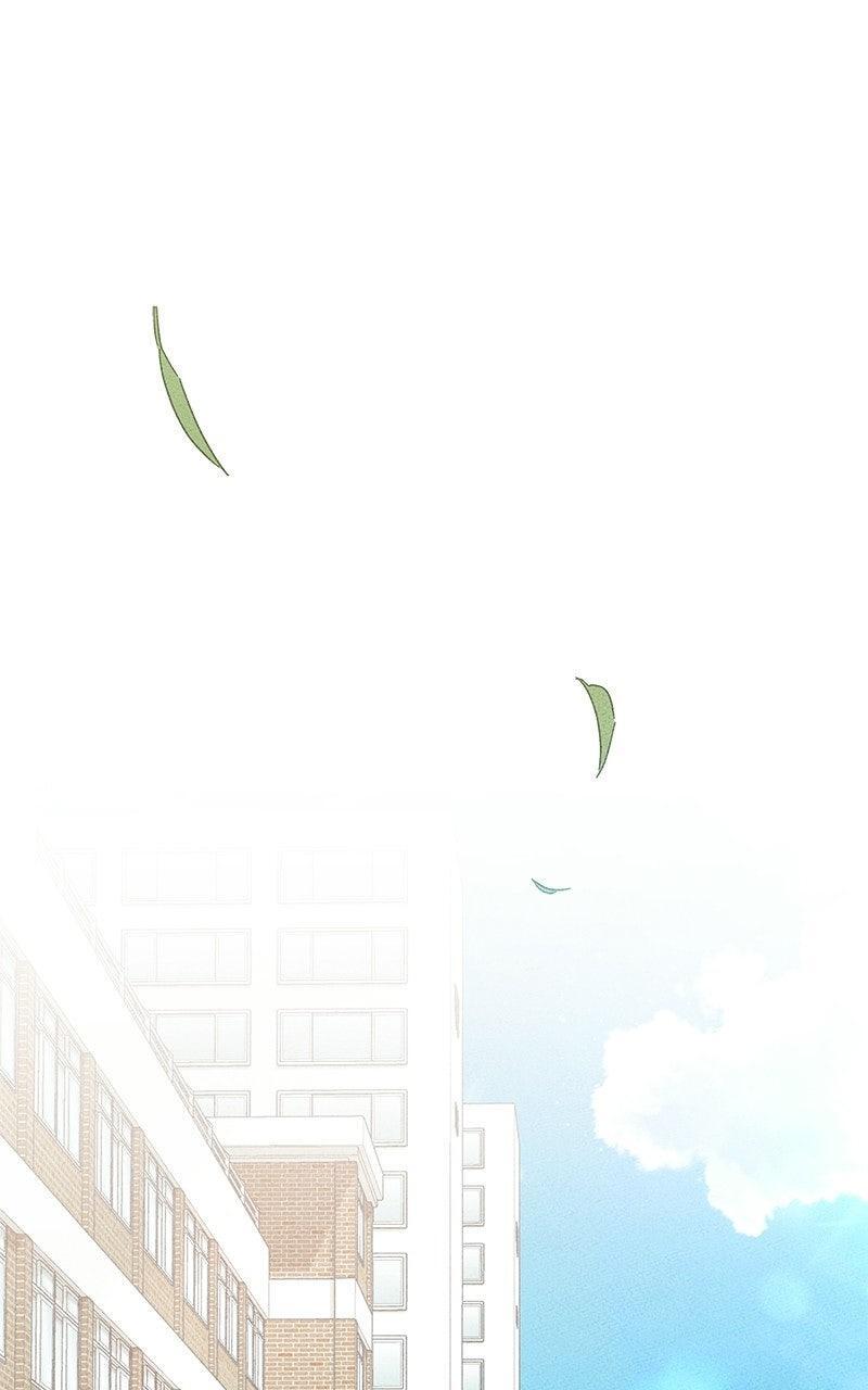 Read Miyeon Manga Online