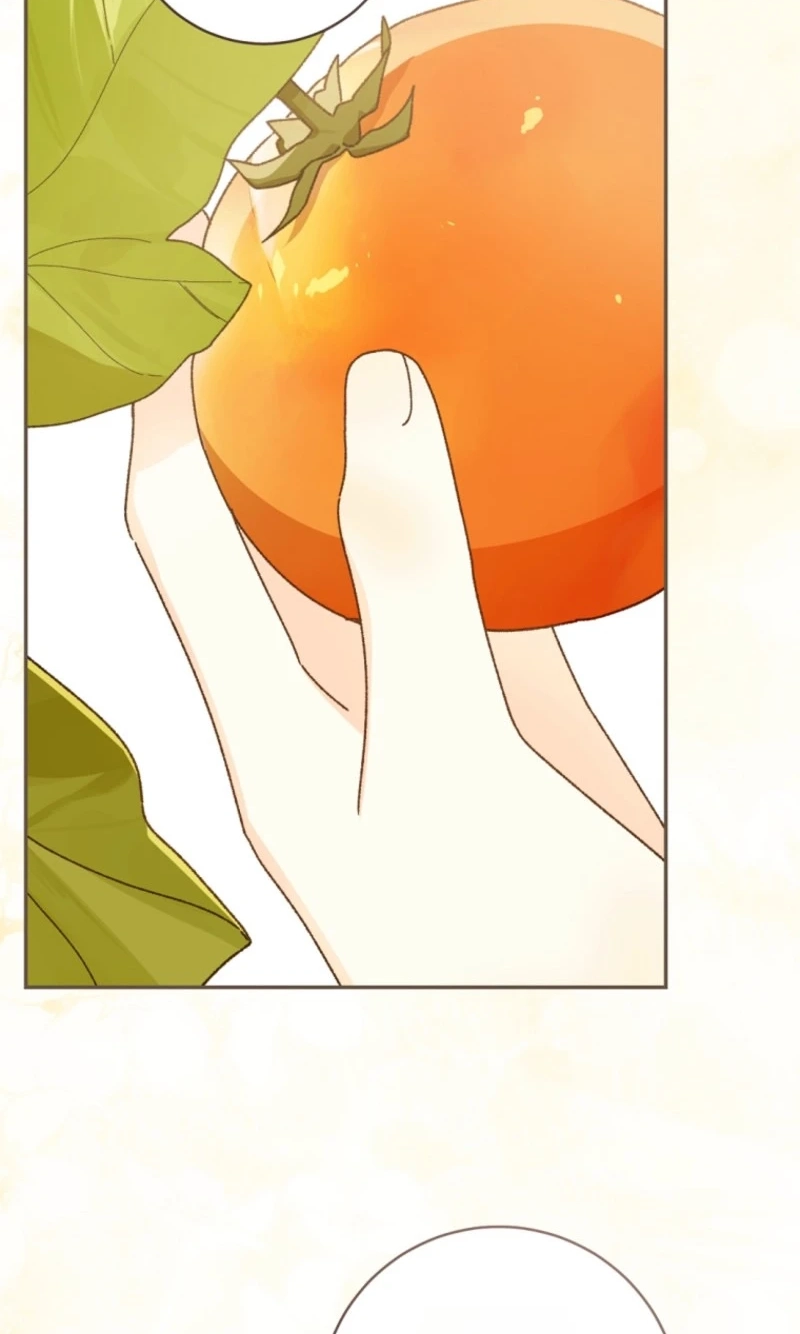 Read My Farm by the Palace Manga Online