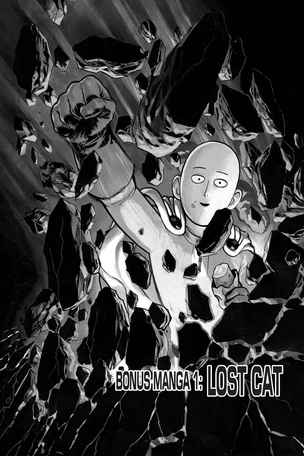 Read One-Punch Man Manga Online