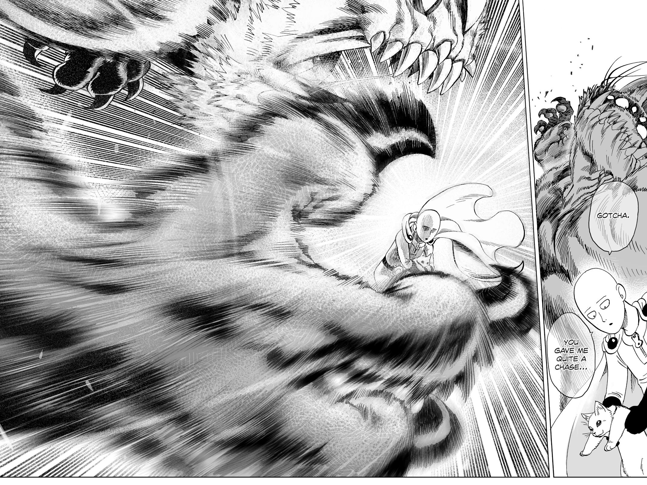 Read One-Punch Man Manga Online