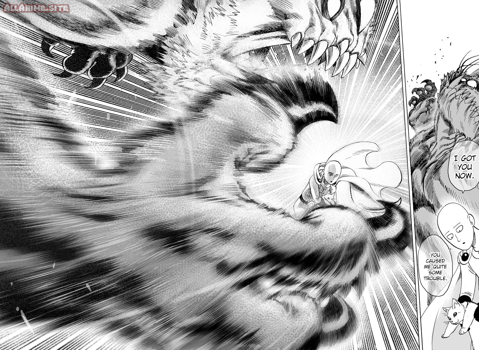 Read One-Punch Man Manga Online