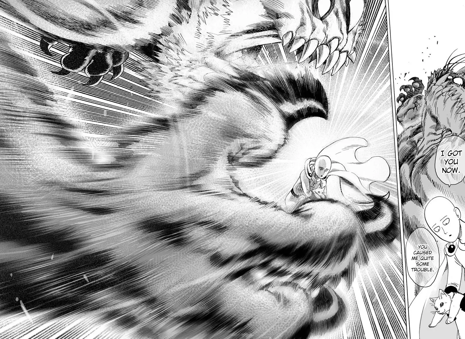Read One-Punch Man Manga Online