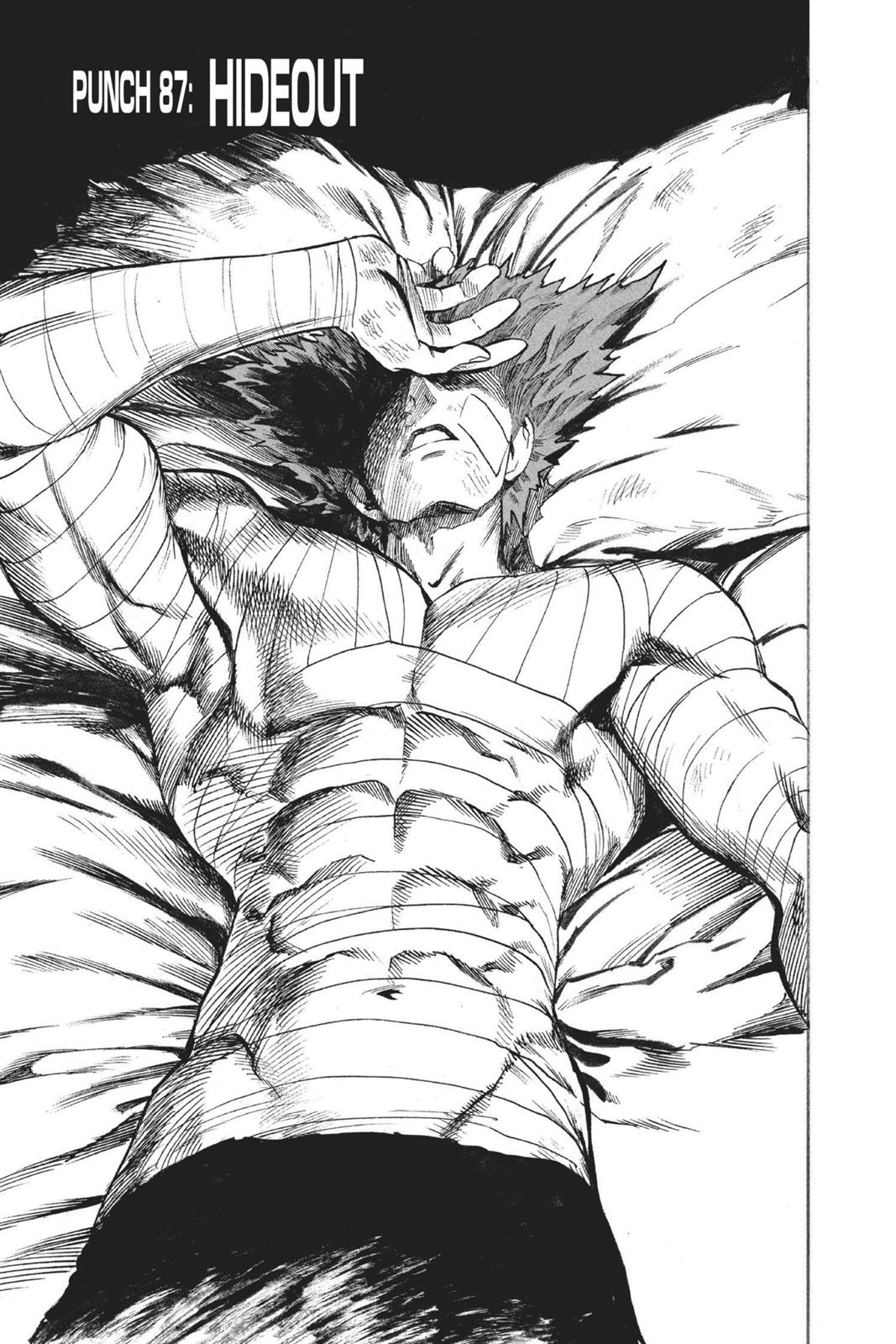 Read One-Punch Man Manga Online