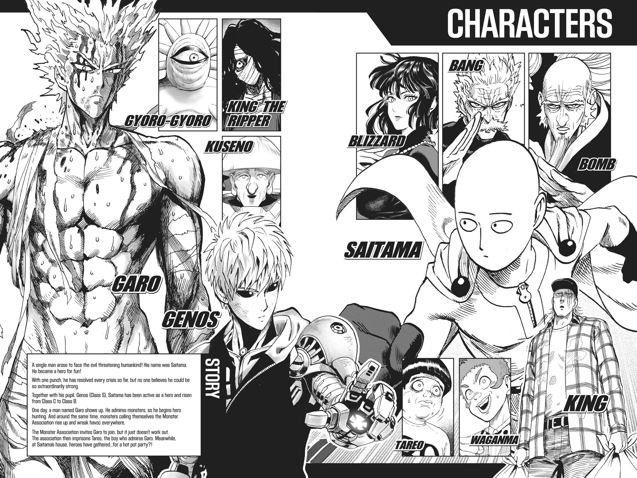 Read One-Punch Man Manga Online