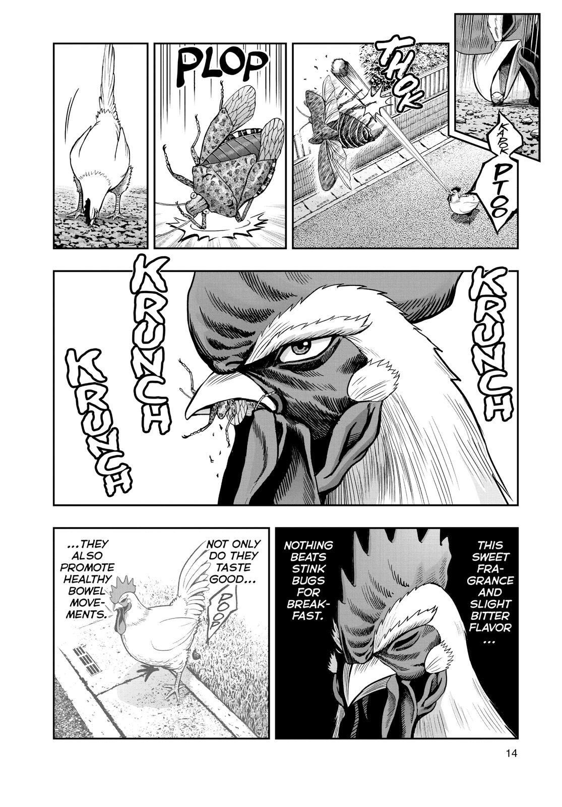 Read Rooster Fighter Manga Online