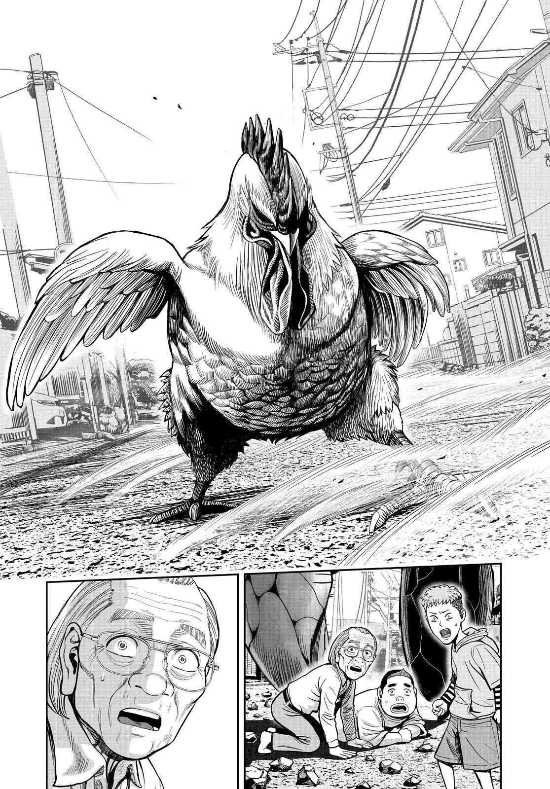 Read Rooster Fighter Manga Online