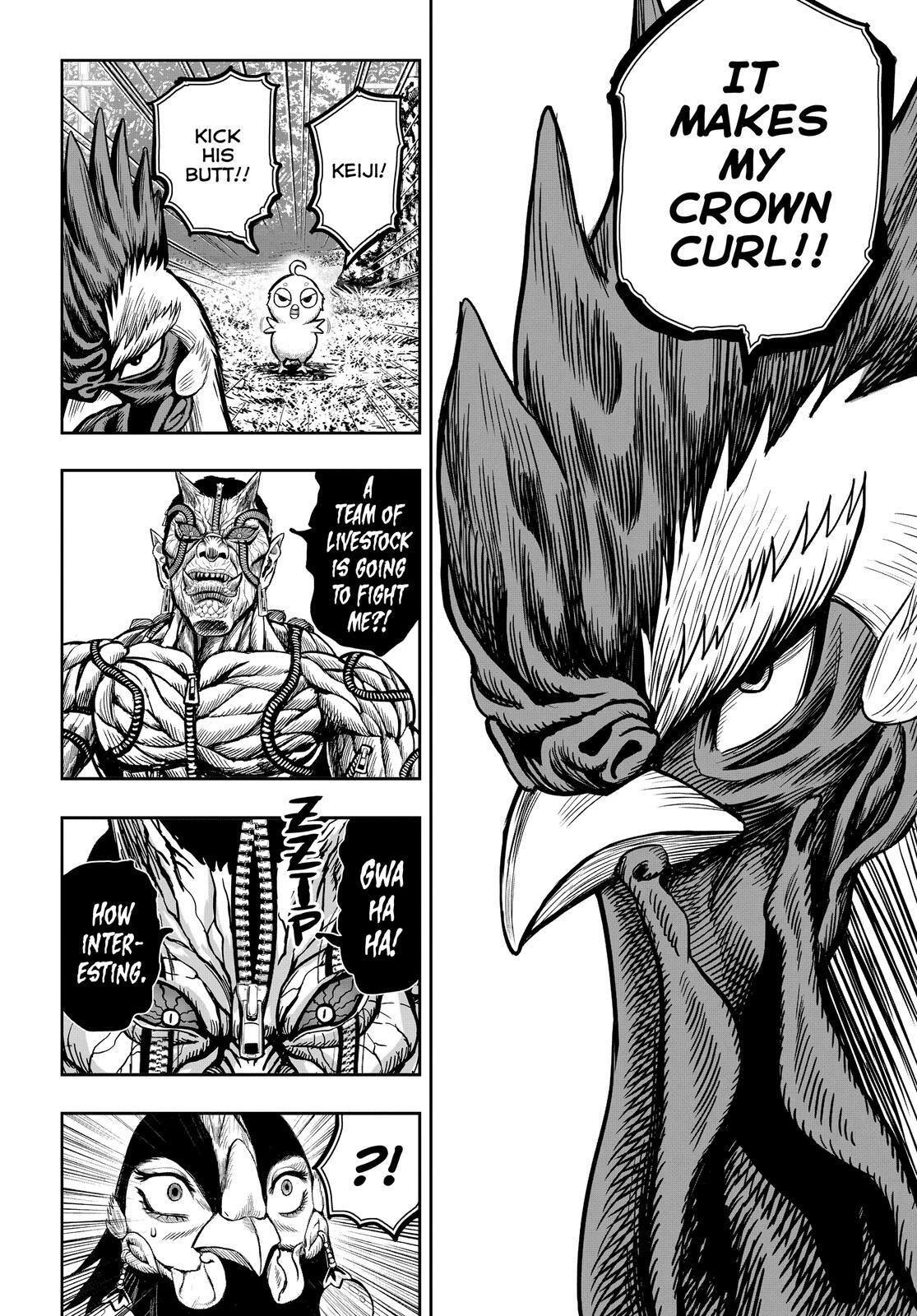 Read Rooster Fighter Manga Online